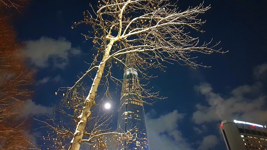 AI 助理:夜空下燈火通明的現代摩天大樓與枝枒